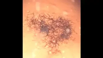 orgy,pj,party,pussy-licking