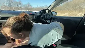 doggystyle-in-car,butt,cowgirl,doggystyle,road-trip