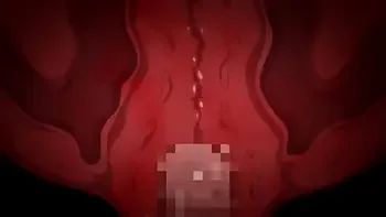 anime,hentai,pornhentai,compilation,sex