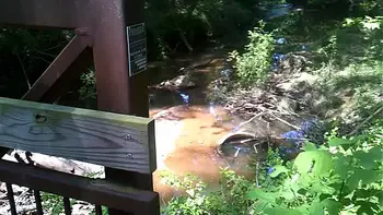 black-cock,ass,group-sex,couple,ebony