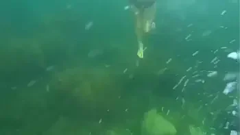 public,spy-camera,big-tits,sea,water-sports