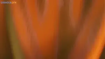 fnaf,futanari,sucking,taker-pov,chica