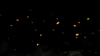 ass-worship,farts,double-domination,slut-humiliation,fart-fetish