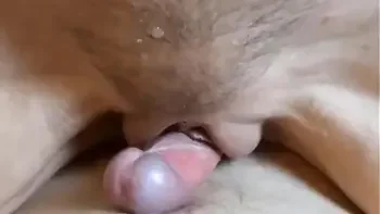 amateur,taboo,shaved-pussy,creampie,fad-pussy