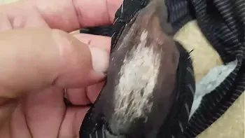 wife,dirty-panties,stains