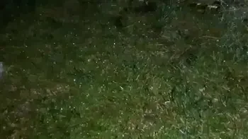 cunnilingus,passionate-sex,pussy-cum,girl-orgasm,hot-sex