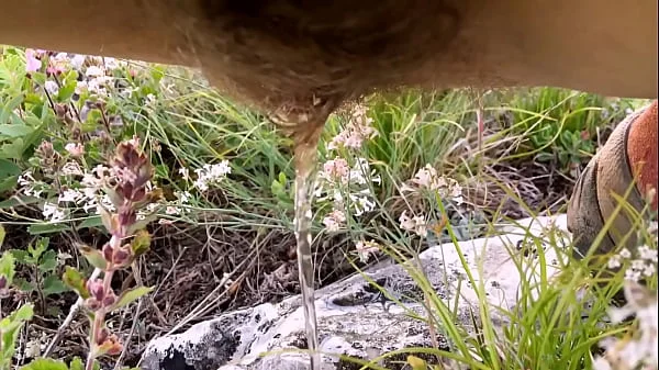 hairy-pussy,xvideos,piss,pee-in-the-forest,compilation