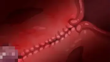 compilation,hentai,titsbig,blowjob,anime