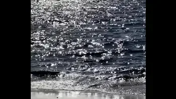 sex,beach,cute,blowjob,18yo