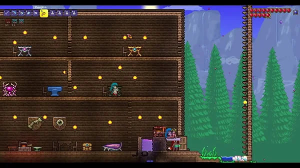 terraria,sex