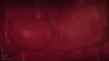 closeup,animation,xray,hentai,creampie