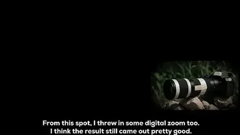 cowgirl,doggystyle,risky,caught,public-sex