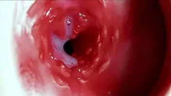 cum-on-ass,new,toy-blowjob,asmr,pussy-fucking