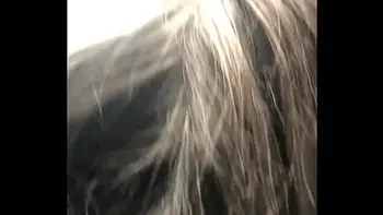 dirty-talk,interracial,slut-humiliation,black-cock-lover,babe