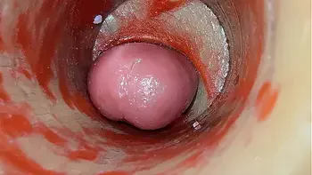 endoscope,loose-pussy,risky-sex,meaty-pussy-lips,pink-pussy