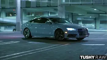 blowjob,big-tits,reverse-cowgirl,deep-throating,missionary