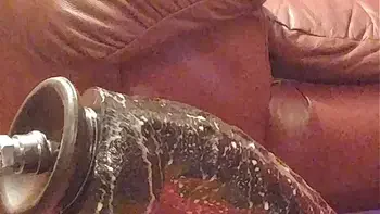 whipped-cream,anal,extreme-anal,dildo,balls-deep