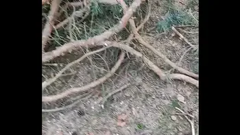 masturbation,amateur,aftrekken,nederlands,soloboy