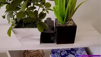 step-sister,hardcore,blowjob,big-cock,stepsister