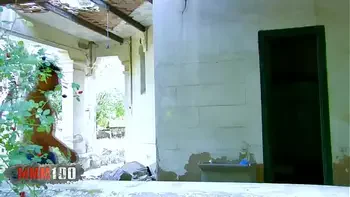 pussy-fucking,chubby,brunette,blowjob,babe