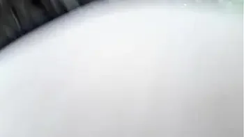 quick,rapidito,public,bosque