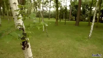 deepthroat,creampie,cumshot,anal,group