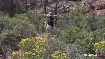 real,cumshot,hardcore,public,wife