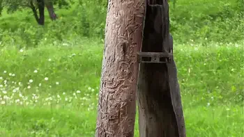 amateur,big-butt,mature,dildo,milf