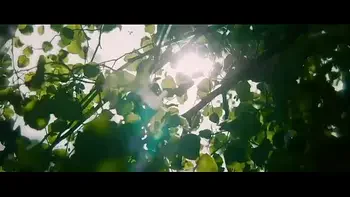 final-fantasy-7,charlie-red,last-of-us,fortnite,kira-queen