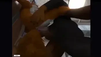 furry,cum,knot,furry-yiff,cumshot