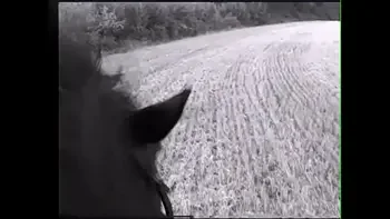 girl,farm,pussy,anal-sex,blowjob