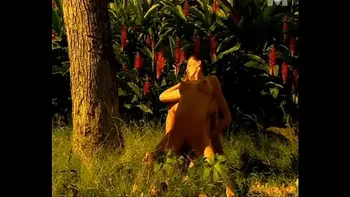 brunette,french,pornstar,outdoor,soft