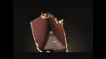 hidden,fucked,fuck,assplay,adult