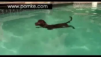 hardcore,pornstar,anal,cumshot,amateur