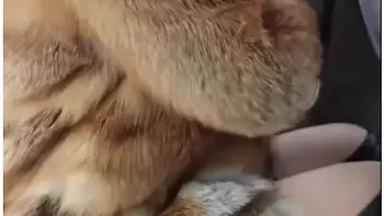 anal,hd,red-head,british,hardcore