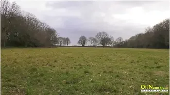 compilation,fingering,british,hd,cunnilingus