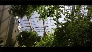 asian,amateur,blowjob,vlog,jav