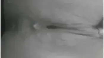 bukkake,ebony,cum-mouth,gangbang,squirt