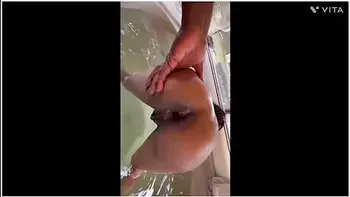 anal,hd,ebony,brunette,big-ass