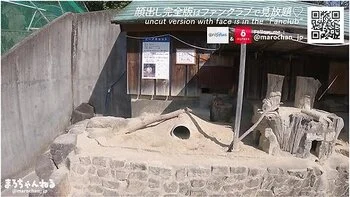 adult-toys,hd,big-ass,big-boobs,amateur