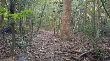 naked,farm,cmnf,blowjob,huge