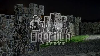 spider,cbt,femdom-cbt,balls,domination