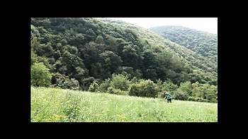 pussies,large,outdoor,blowjob,big-cock