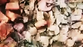 hirsute,desi,brunette,unshaved,indian-hd