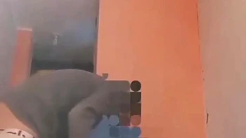 indian-hd,amateur,indian-amateur,desi,brunette