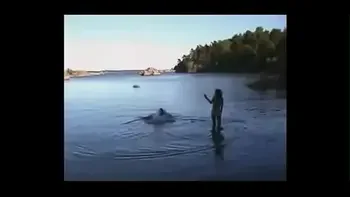 concert,sex,rainforest