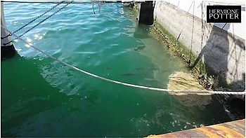 amateur,cumshot,hardcore,public,hd