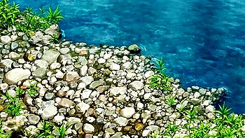 anime,hentai,creampie,blowjob