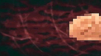 japanese,cum-in-mouth,anime,big-tits,creampie