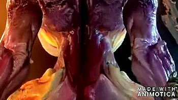 cartoon,hd,big-cock,big-tits,3d-animation